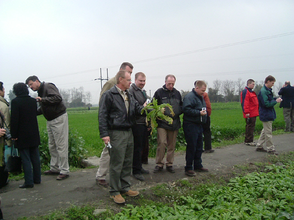 guests stop at a vegetable farm
